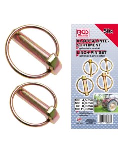 REF  8087       Surtido de pasadores con clip de s