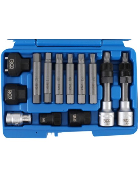 REF  4246    Juego 13 piezas para poleas de altern