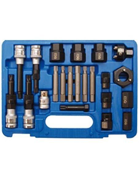 REF  4247     Juego 22 piezas para poleas de alter