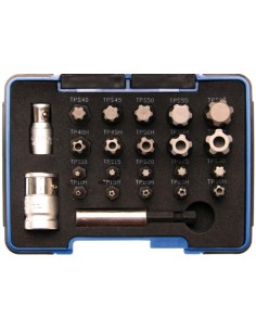 REF  4993     Juego de puntas T-Star  para Torx Pl