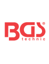 BGS
